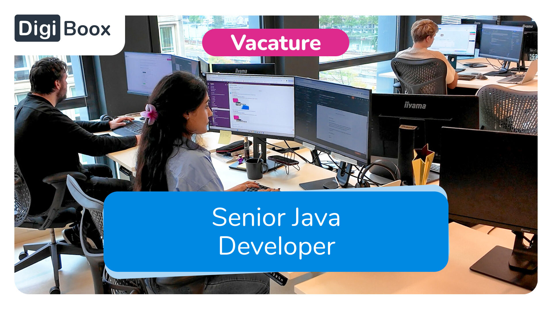 Senior Java Developer DigiBoox